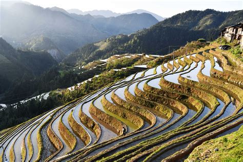 中國有哪些梯田景區：探秘梯田之美與地域特色